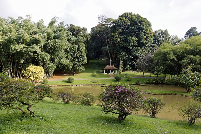 Kandy-Botanical garden-024
